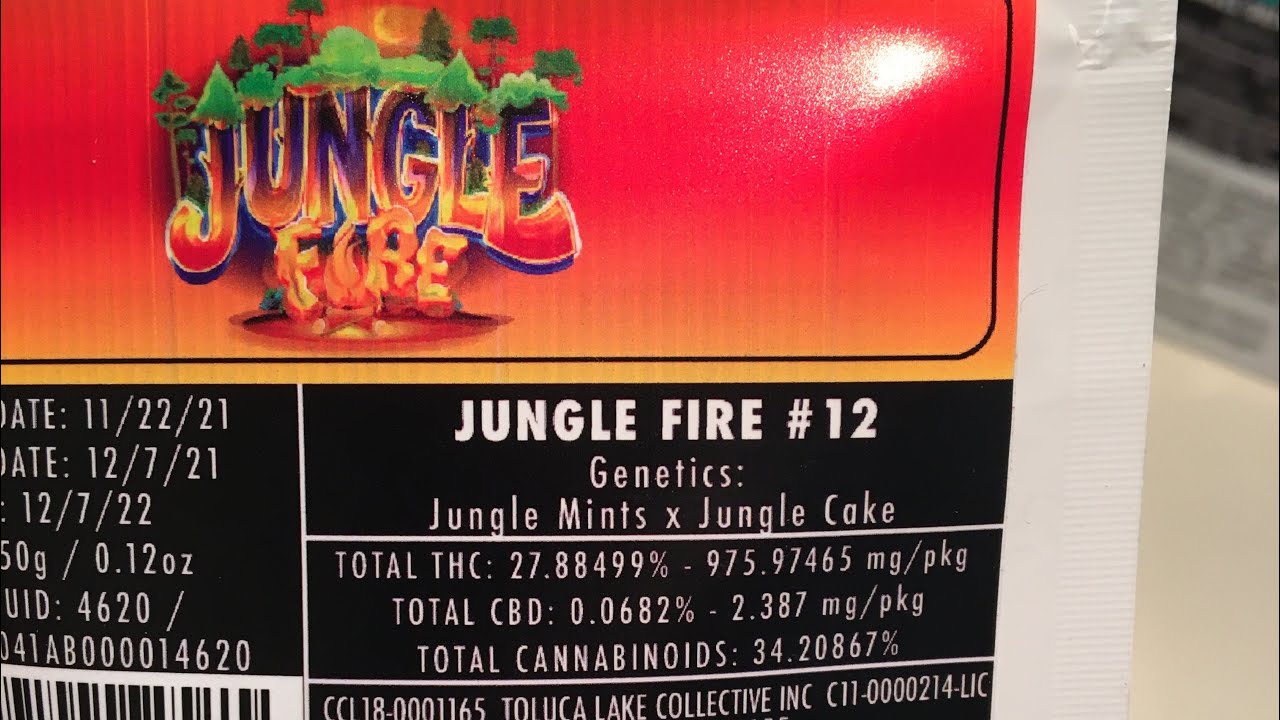 Jungle boys jungle fire strain review