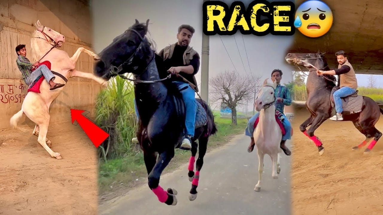 White Ghode Badal Ke Saath Bhayanak Ride Mai Race Hogyi Full Speed Mai😰Hot Blooded🔥