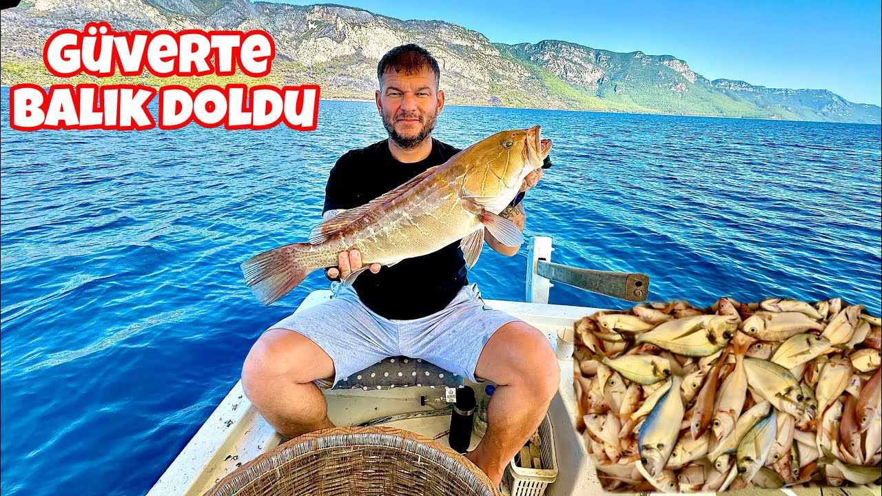 1000 İĞNE PARAGAT ATTIK/TEKNENİN GÜVERTESİ BALIK DOLDU/HER ÇEŞİT BALIK BURDA #balıkçı #paragatavı