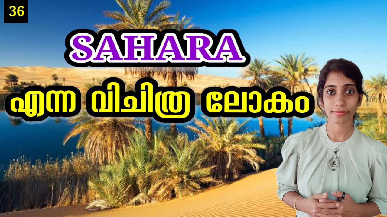 സഹാറ മരുഭൂമി എന്ന അത്ഭുത ലോകം |Facts About Sahara Desert|Infinity|Malayalam