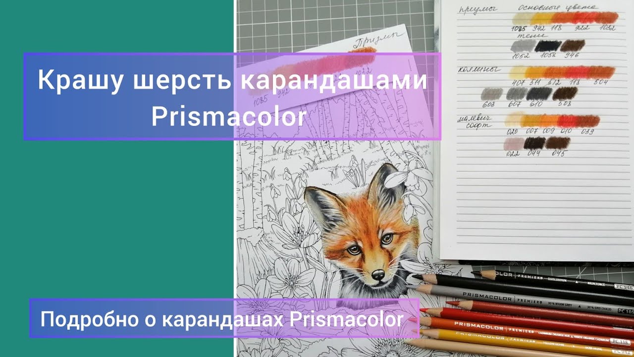 Крашу шерсть карандашами Prismacolor 