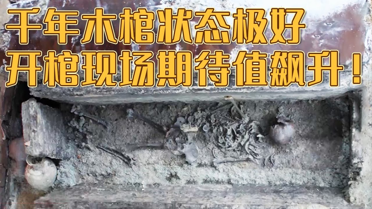 密闭极好 饱水状态木棺 能否再现马王堆奇迹？大墓揭开 考古专家：墓主人可能有爵位《探索·发现》徐州汉代家族墓（二）丨 中华国宝