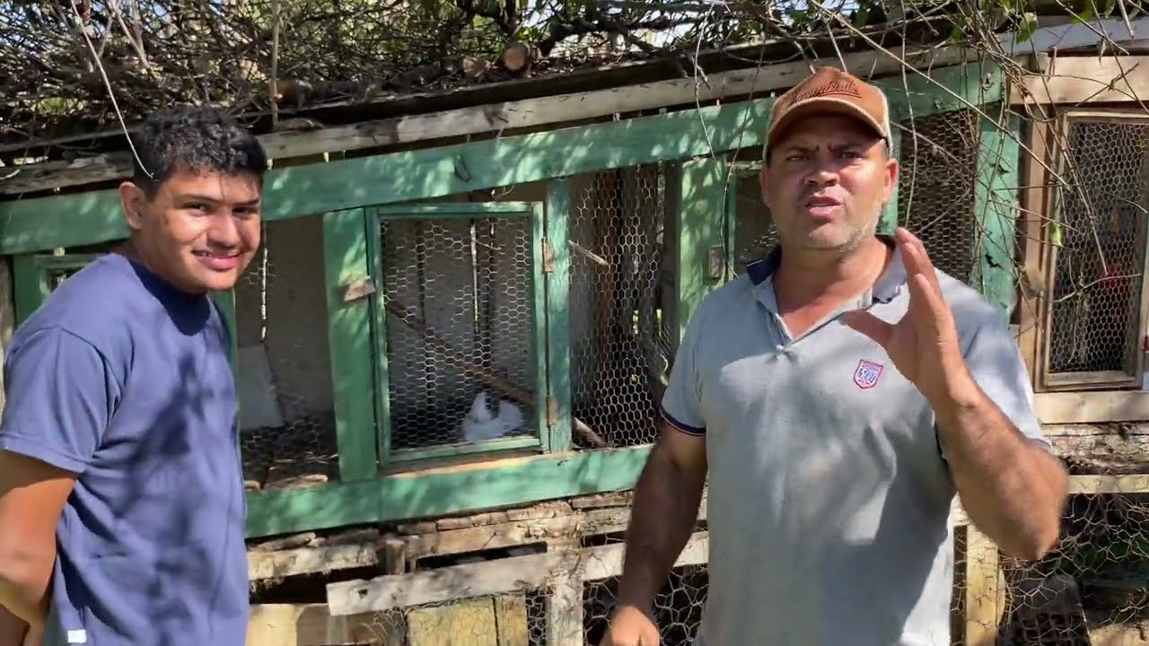 PABLO FONSECA | CRIADOR DE AVES ORNAMENTAIS EM LAGOA DOURADA MG