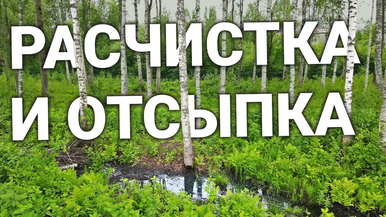 БОЛОТО 25 соток: Осушение и отсыпка, расчистка от леса и поросли.