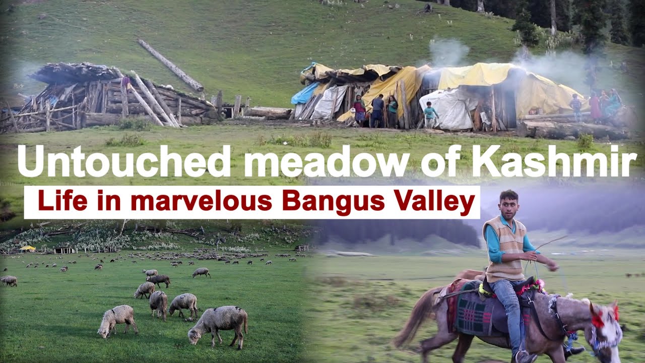 Untouched meadow of Kashmir: Life in marvelous Bangus Valley | The Kashmir Walla