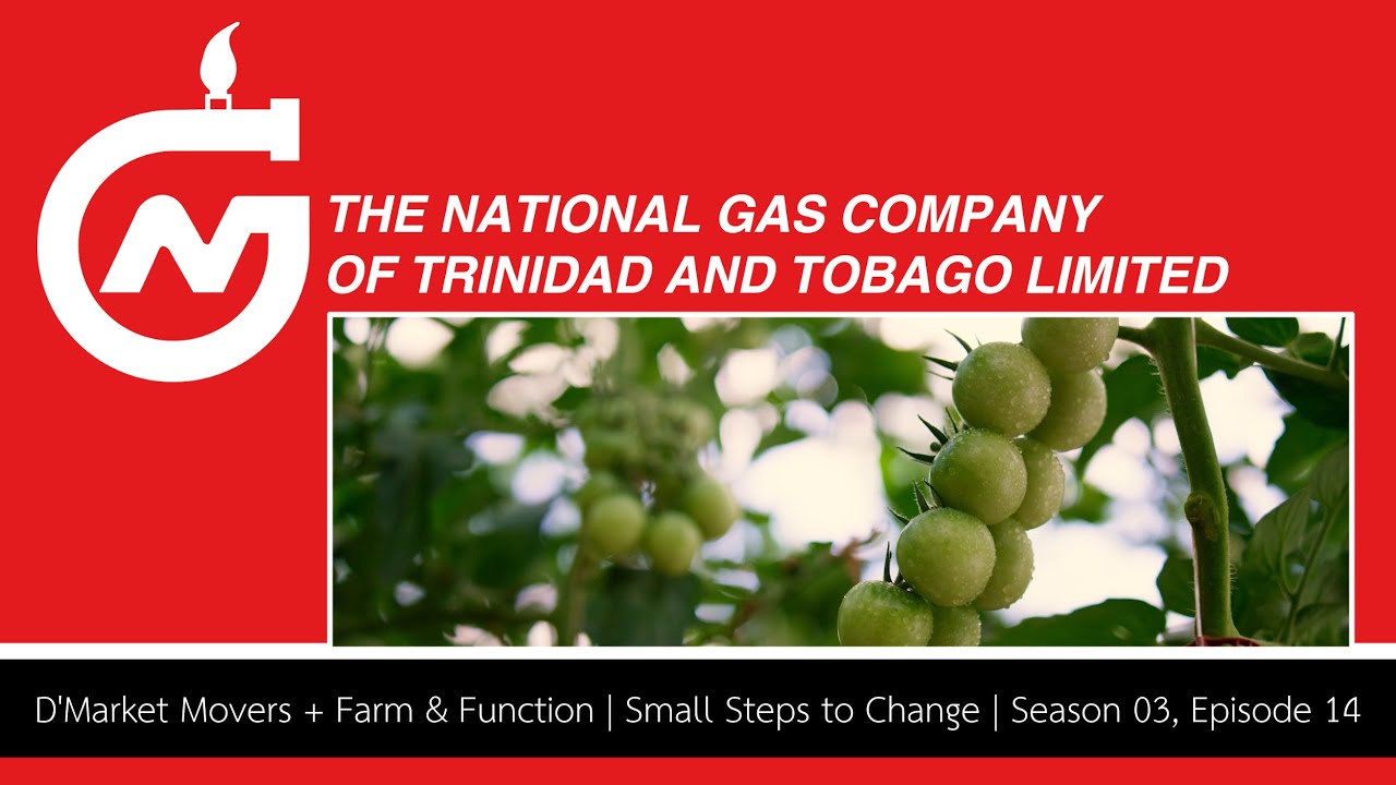 D'Market Movers + Farm & Function | Small Steps to Change | Season 03, Episode 14