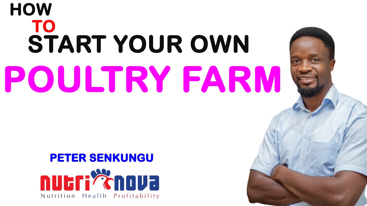 HOW TO START YOUR OWN POULTRY FARM