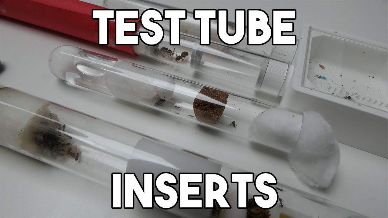 How To Make Test Tube Inserts For Your Founding Ant Colonies