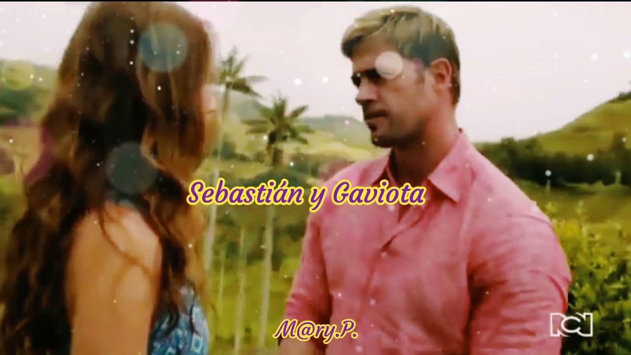 Sebastián y Gaviota - Love is Gone