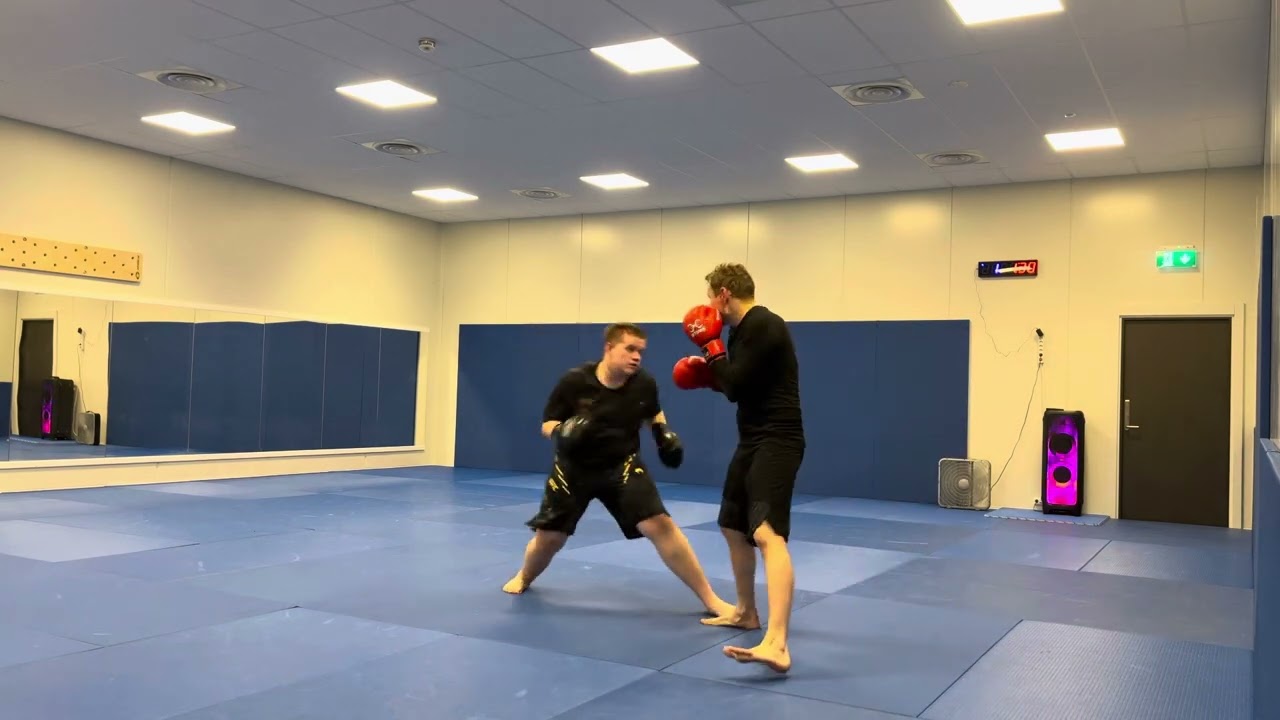 Emrick rokas boxing 