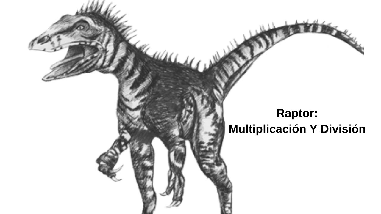 MULTIPLICACIÓN Y DIVISIÓN - RAPTOR