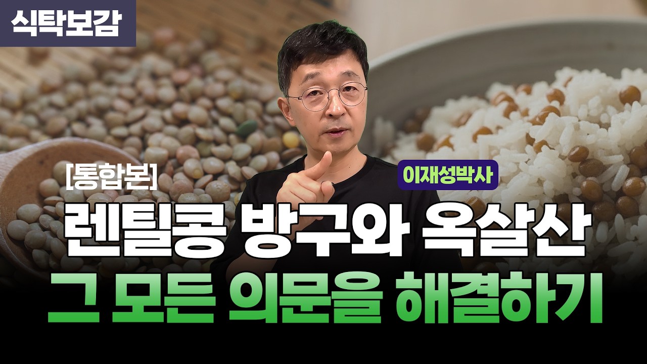 렌틸콩에 대한 찜찜함, 그 모든 의문을 풀어드릴게요
