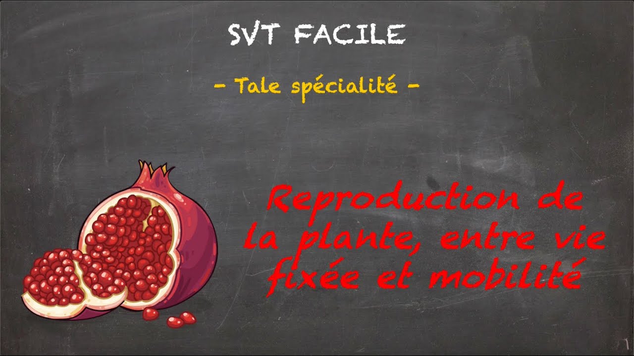 SVT FACILE - Tale spé. - Reproduction de la plante, entre vie fixée et mobilité