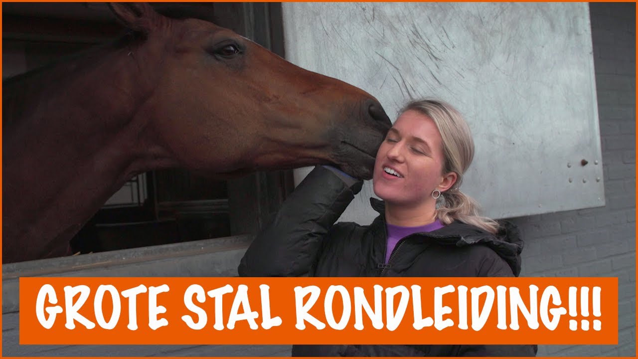 Ontmoet de nieuwe paarden bij Britt op stal | PaardenpraatTV