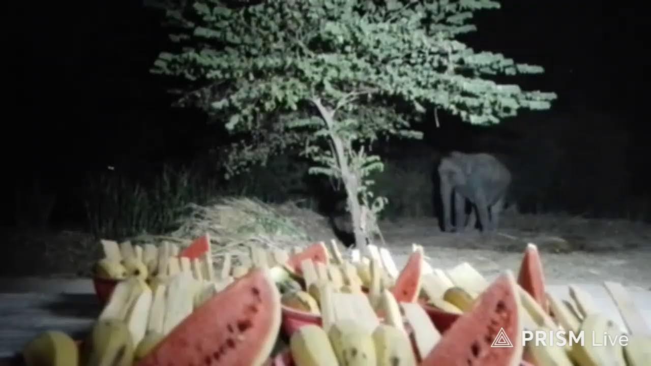 รอบ 2  ค่ะ #ยังไม่ได้ทานสักตะกร้าเลยค่ะ 🙏❤🙏🐘