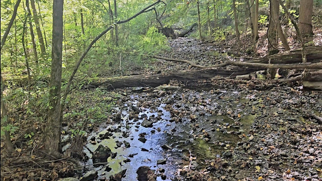 A nice walk at George Rogers Clark State Park in Clark County near Springfield Ohio