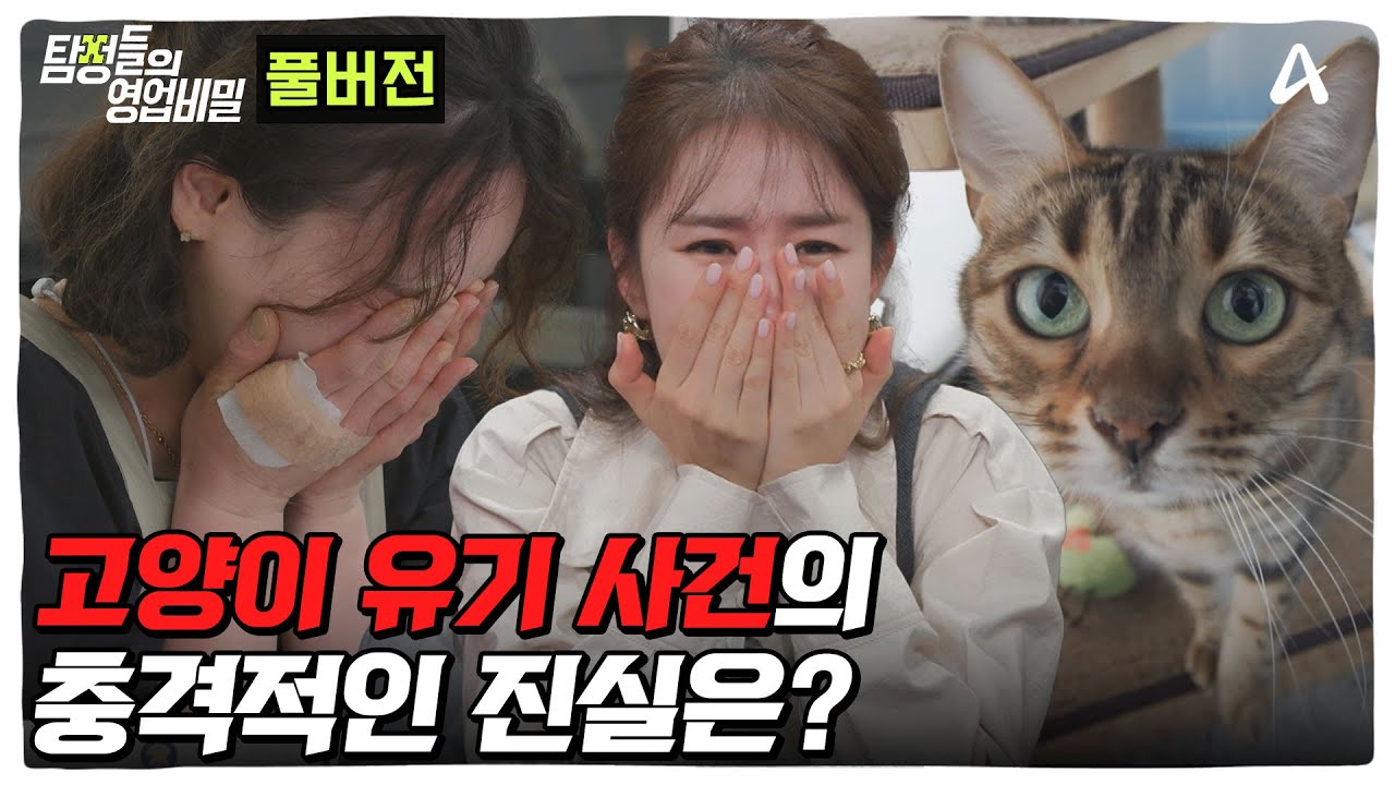 (60분) 밀린 호텔비만 600만원? 고양이 주인을 찾아주세요 | 탐정들의 영업비밀