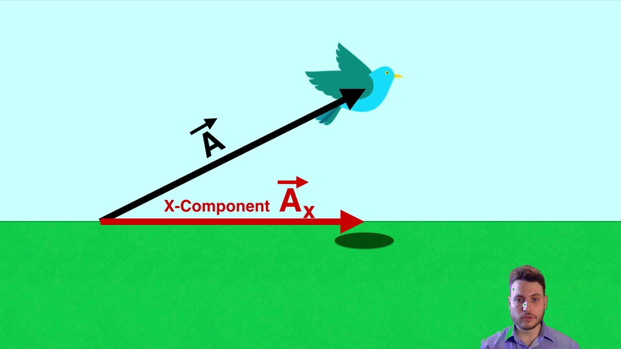 X and Y Components of Vectors - IB Physics