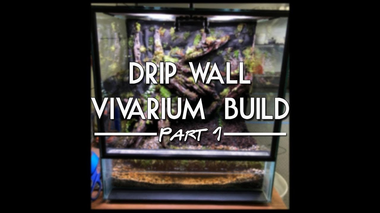 Drip Wall Vivarium Pt 1