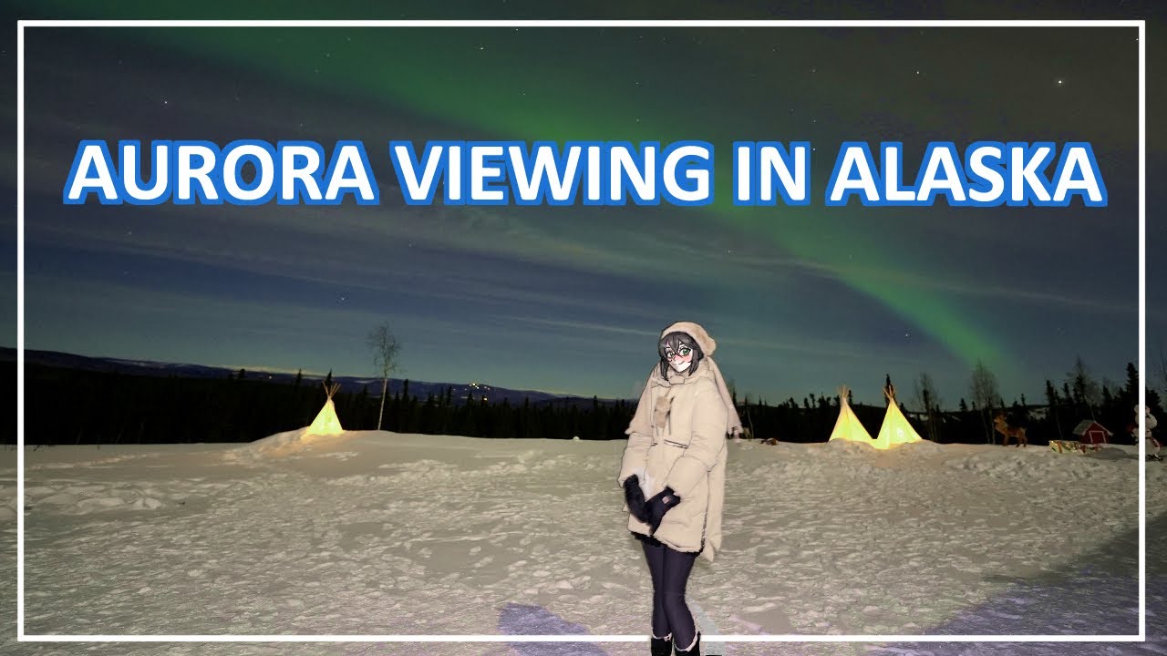 I got to see the Northern Lights!