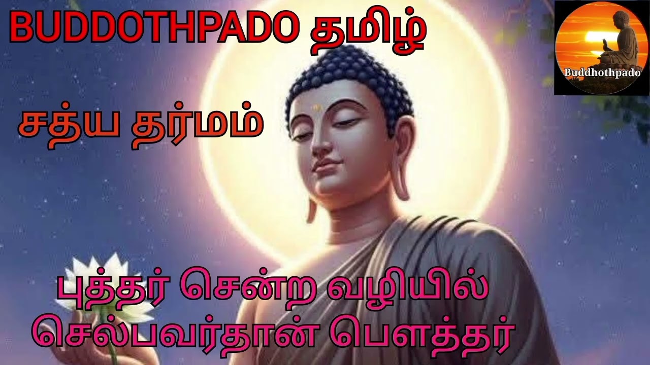 எனக்கு நான்...62 ( 2 ) buddothpado tamil சத்ய  தர்மம்   #buddha #tamil #buddhisam #budhist #buddha