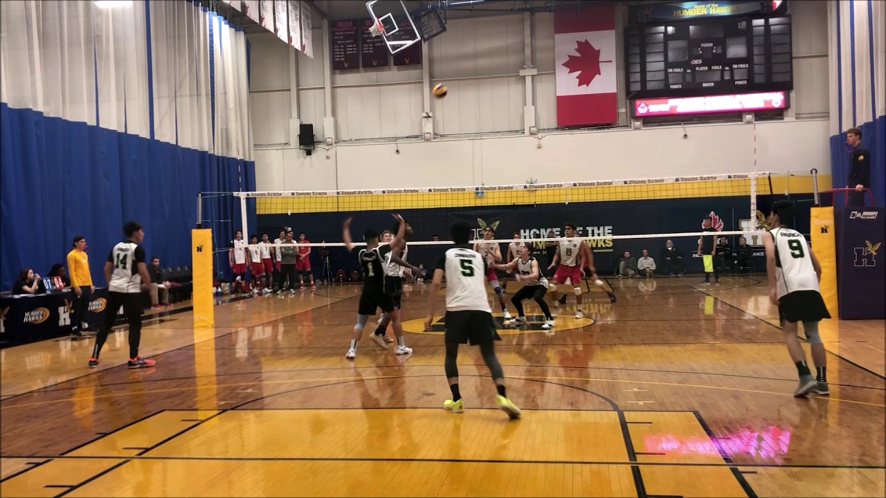 Reach Havoc | 2019 Humber Pre-Season Invitational | Tournament Highlights