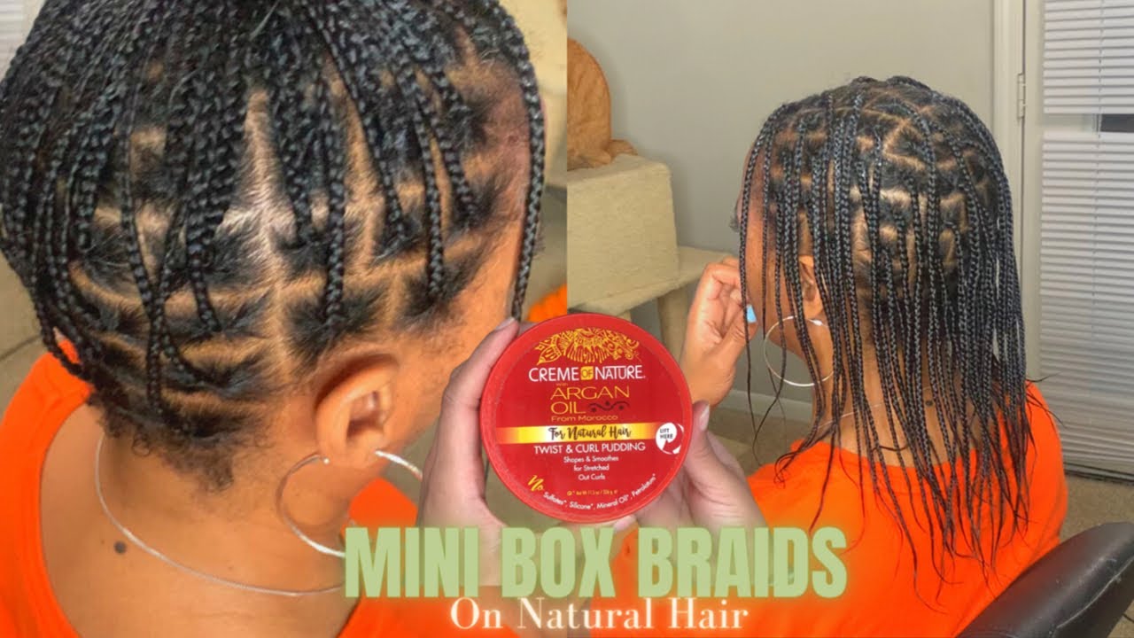 MINI BRAIDS NO WEAVE | PROTECTIVE/ LOW MANIPULATION Hairstyle | NATURALLY THIN TRANSITIONING HAIR