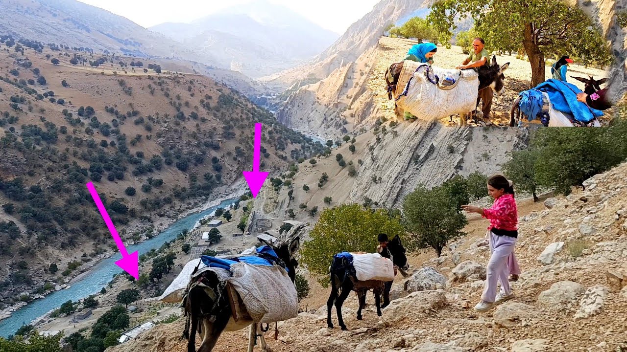 Nomadic life in Iran:repairing the stable and feeding your animals and donkeys.🐐🐕🐑🐓🏔️🫏🐎