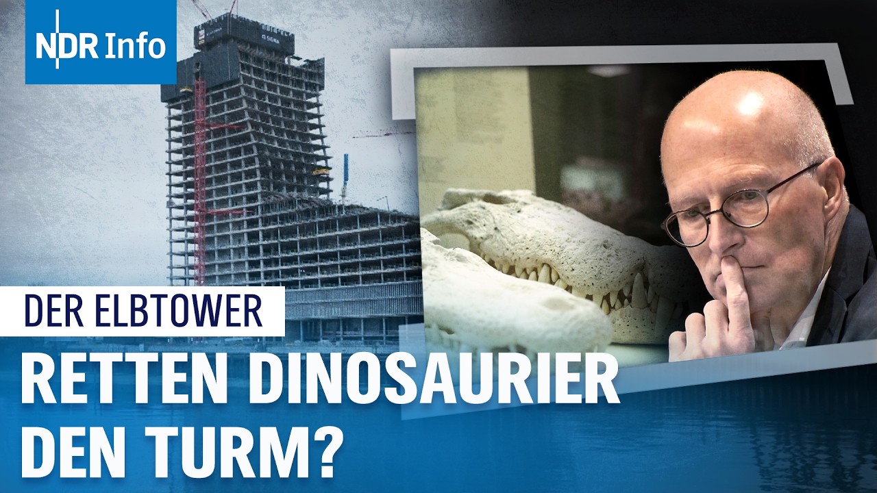 Elbtower-Deal: Neues Zuhause für das Hamburger Naturkundemuseum? | Panorama 3
