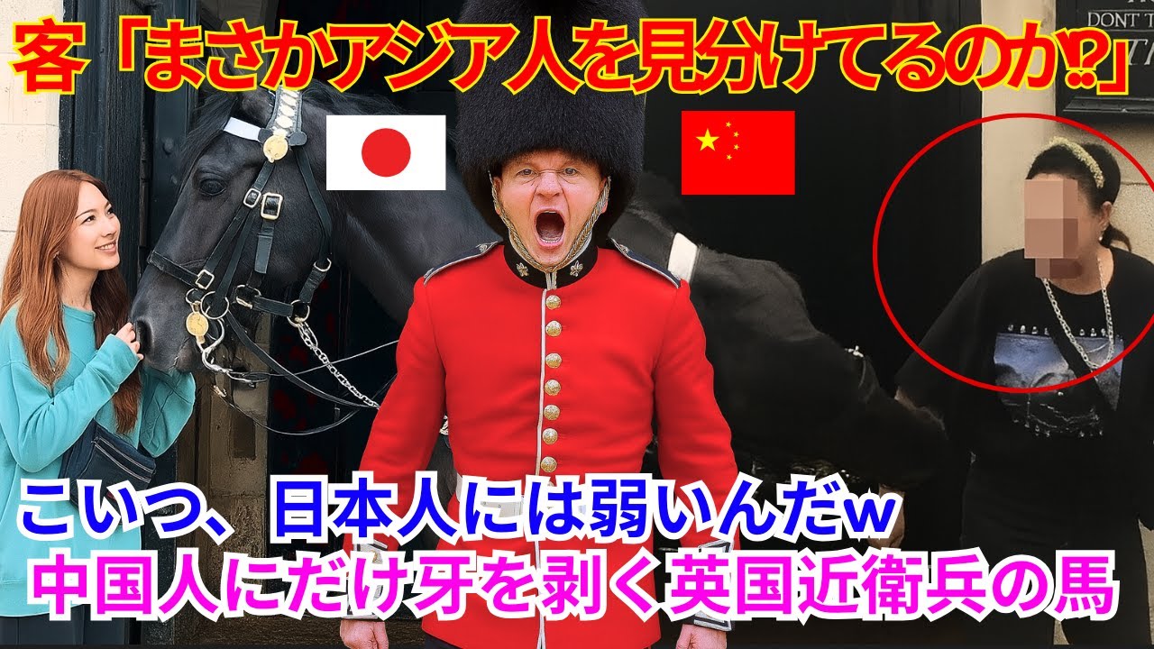 【海外の反応】なぜ近衛兵の馬は中国人に牙を剥き、日本人にだけ心を許すのか？その裏に隠された、涙の感動する話【ゆっくり解説】