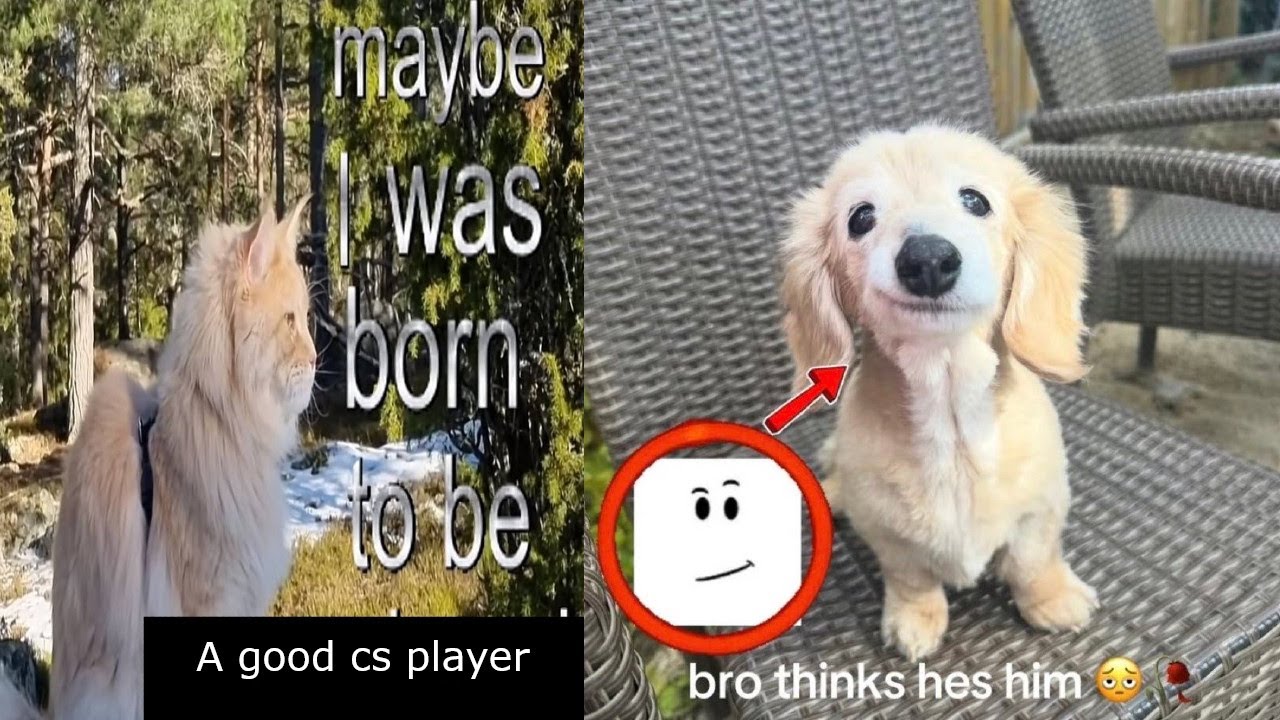 x3.mov
