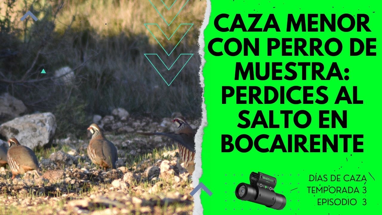 Días de caza perdices al salto con perro de muestra