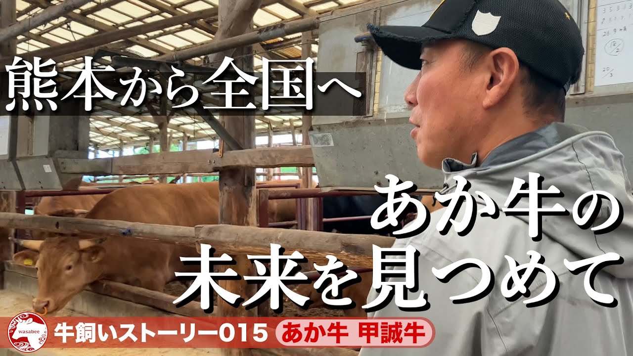 【熊本県：あか牛 甲誠牛】熊本からにっぽん全国へ《wasabee 牛飼いストーリー015》