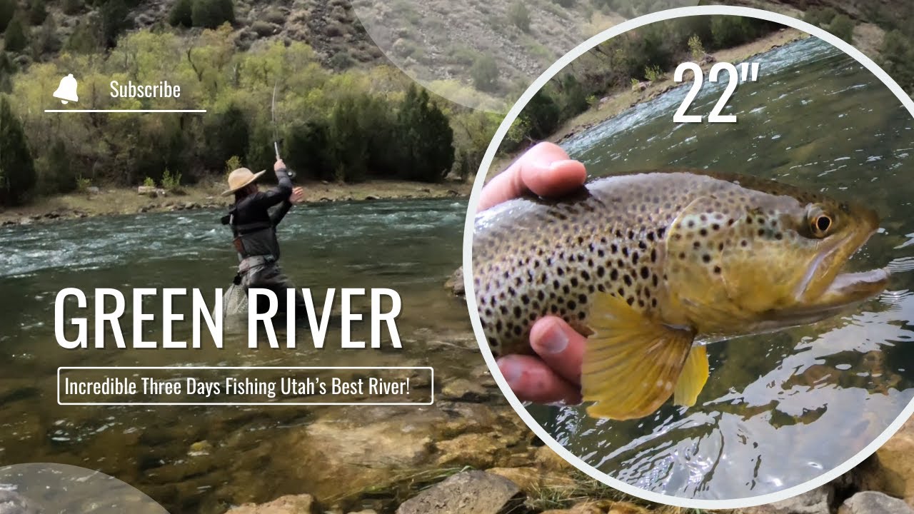 Green River Fly Fishing | What an INCREDIBLE Three Days Fishing the Green River!
