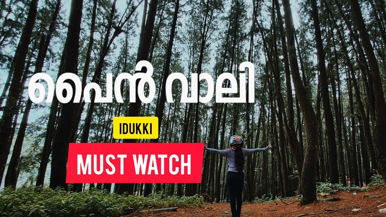 PINE VALLEY VAGAMON | A Paradise For Nature Enthusiasts | Travelvlog 
