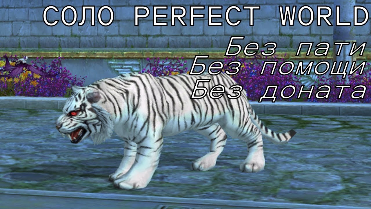 СОЛО ПВ # 12 / Соло Perfect World # 12