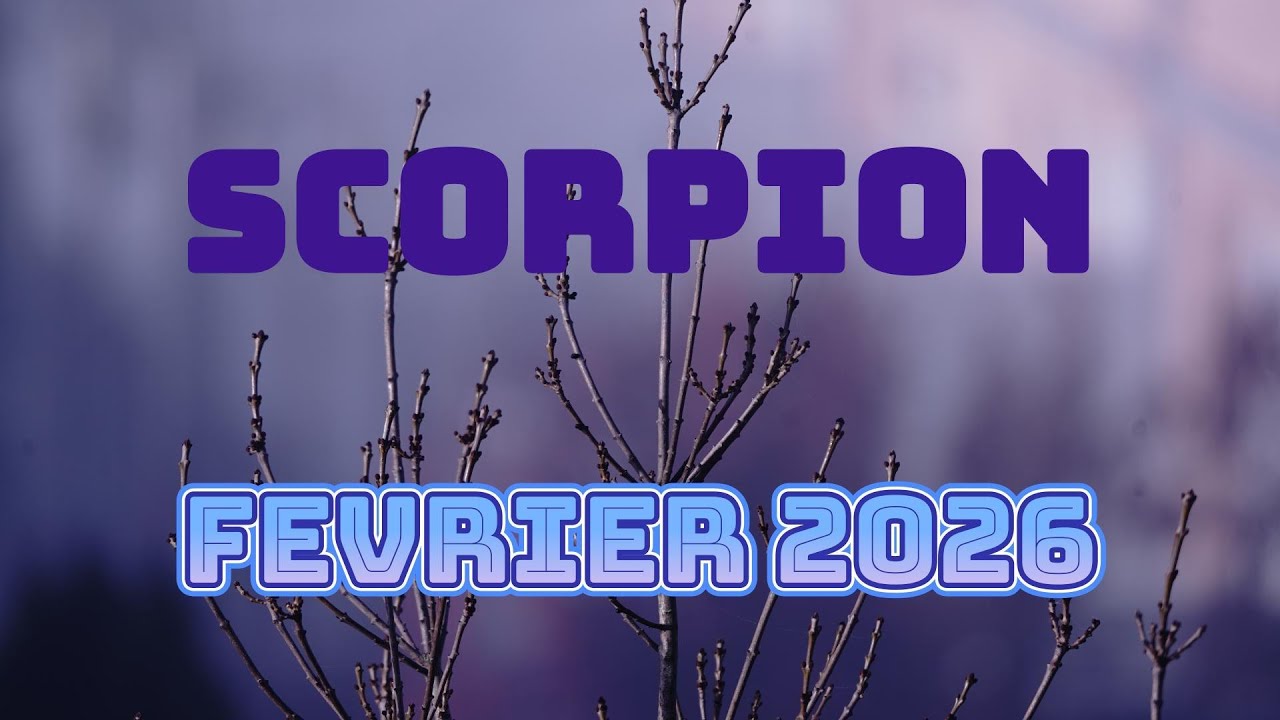 SCORPION Guidance FEVRIER 2026
