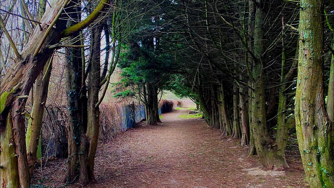 WALKS IN KENT | ALLINGTON TO AYLESFORD