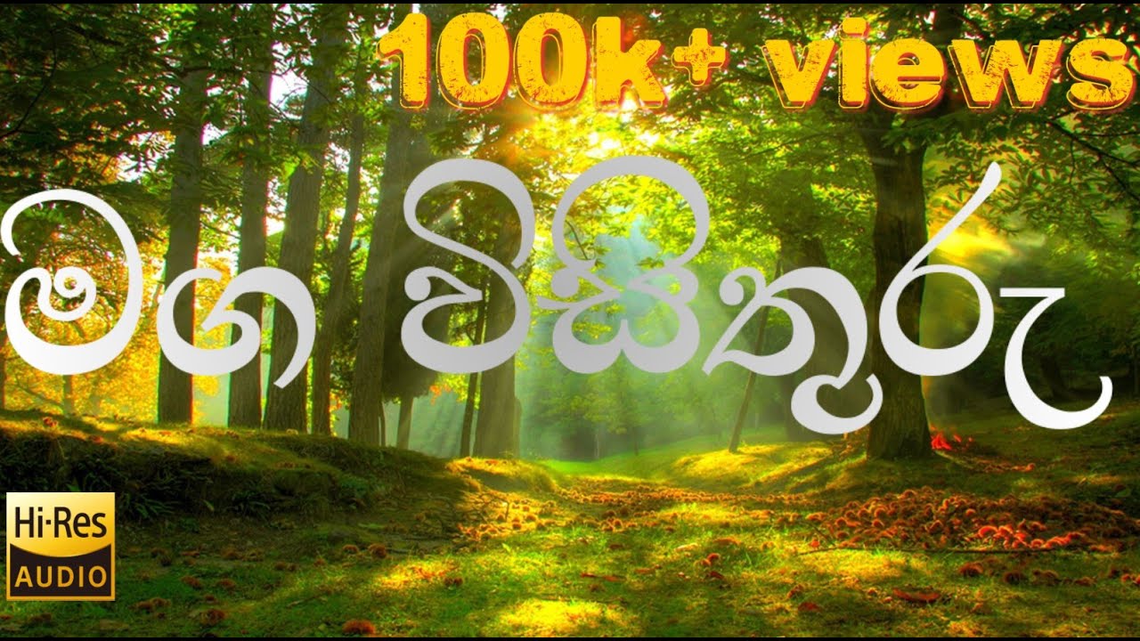 මග විසිතුරු | OL Sinhala | The beauty of the road | maga visithuru