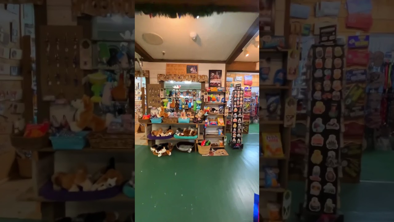 Things to do in Big Bear, CA during the holidays 🎄❄️🧸 #bigbear #bigbearlake #california