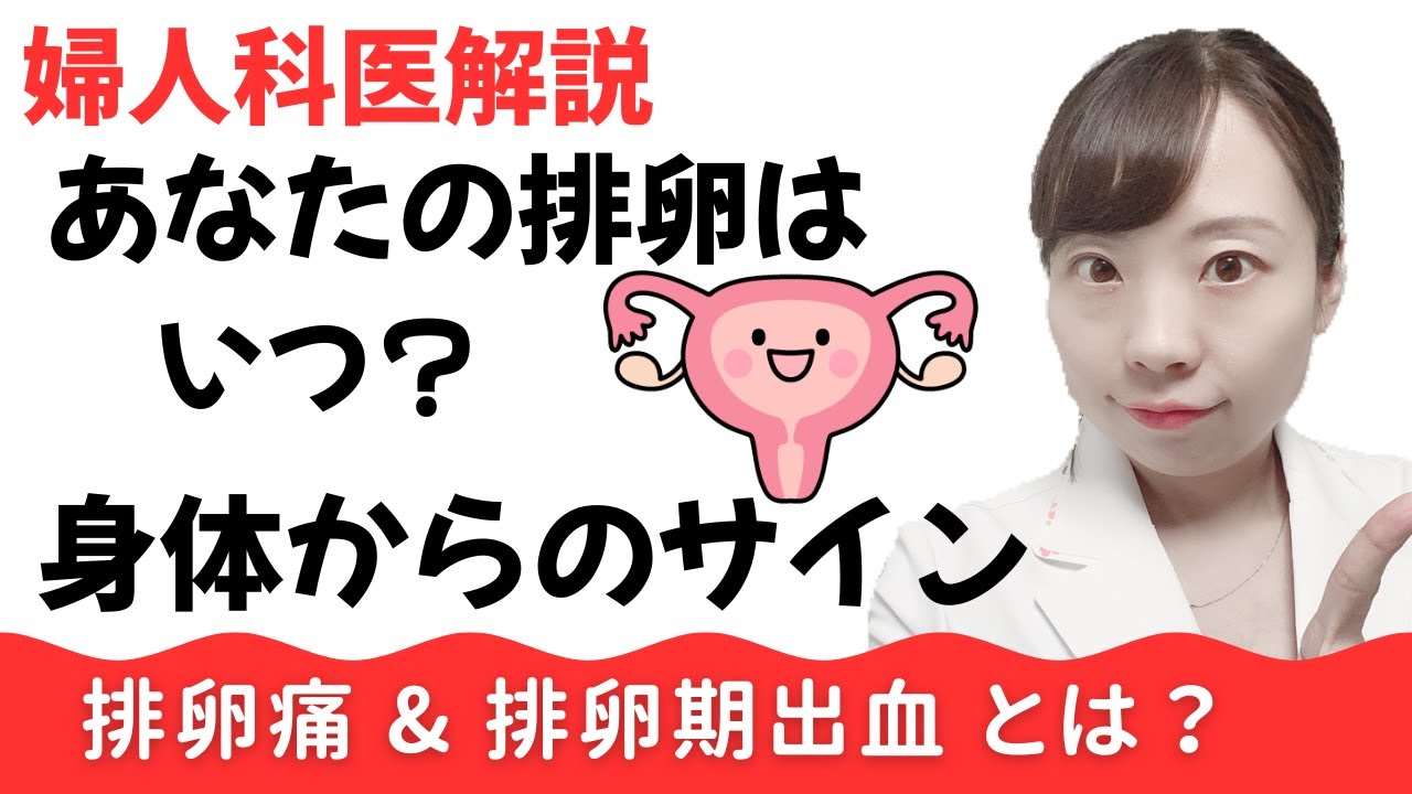 【婦人科医解説】その痛み、おりもの、排卵痛 & 排卵期出血かも！_ 妊活にも役立つ！ 排卵の兆候_【知っておきたい正しい知識】