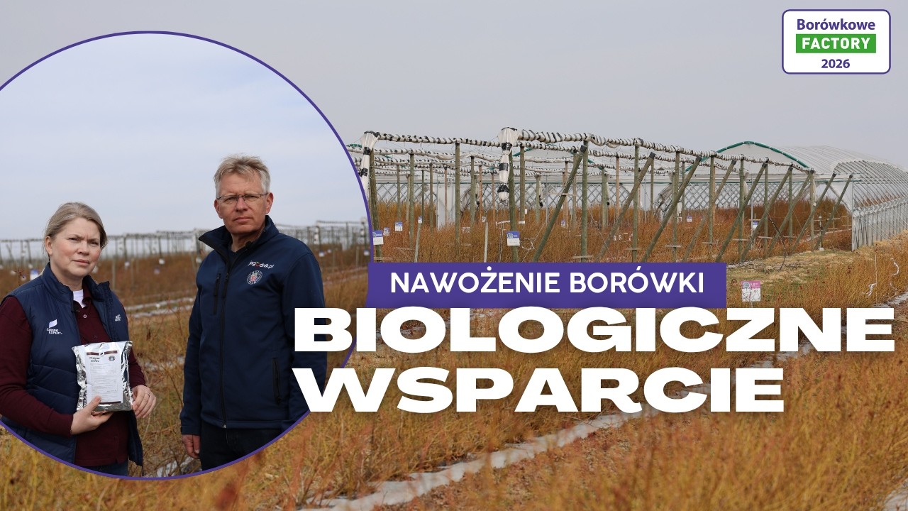 Biologiczne wsparcie nawożenia bor&oacute;wki u progu nowego sezonu