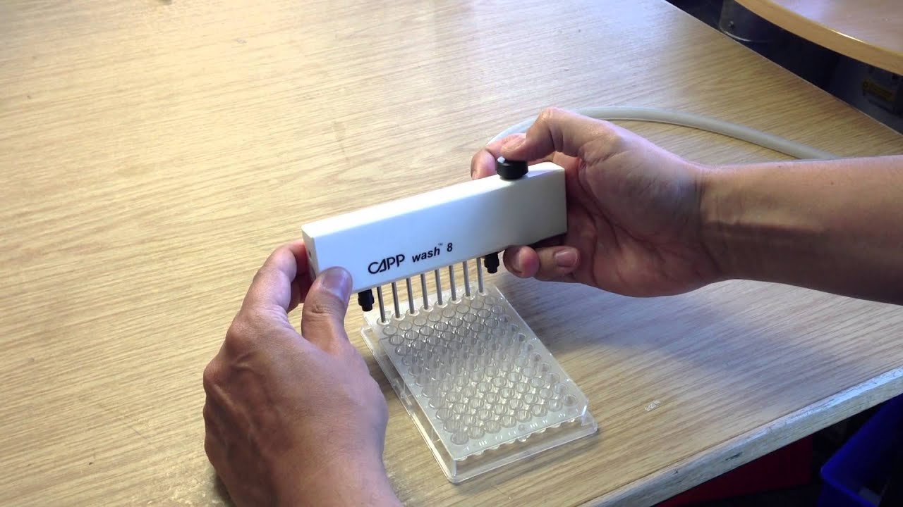 CappWash® Manual Plate Washer