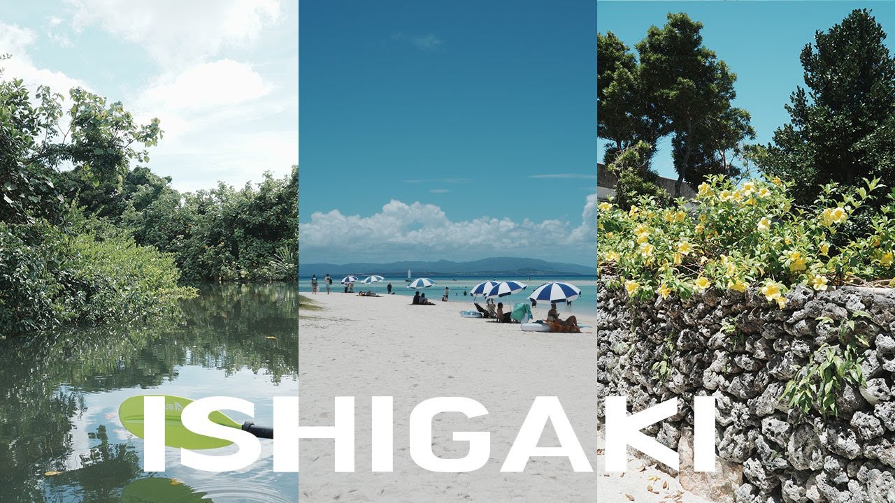 이시가키 주변섬 당일치기🏝️ 이리오모테섬 트래킹&스노클링투어 | 자전거로 타케토미섬 구경