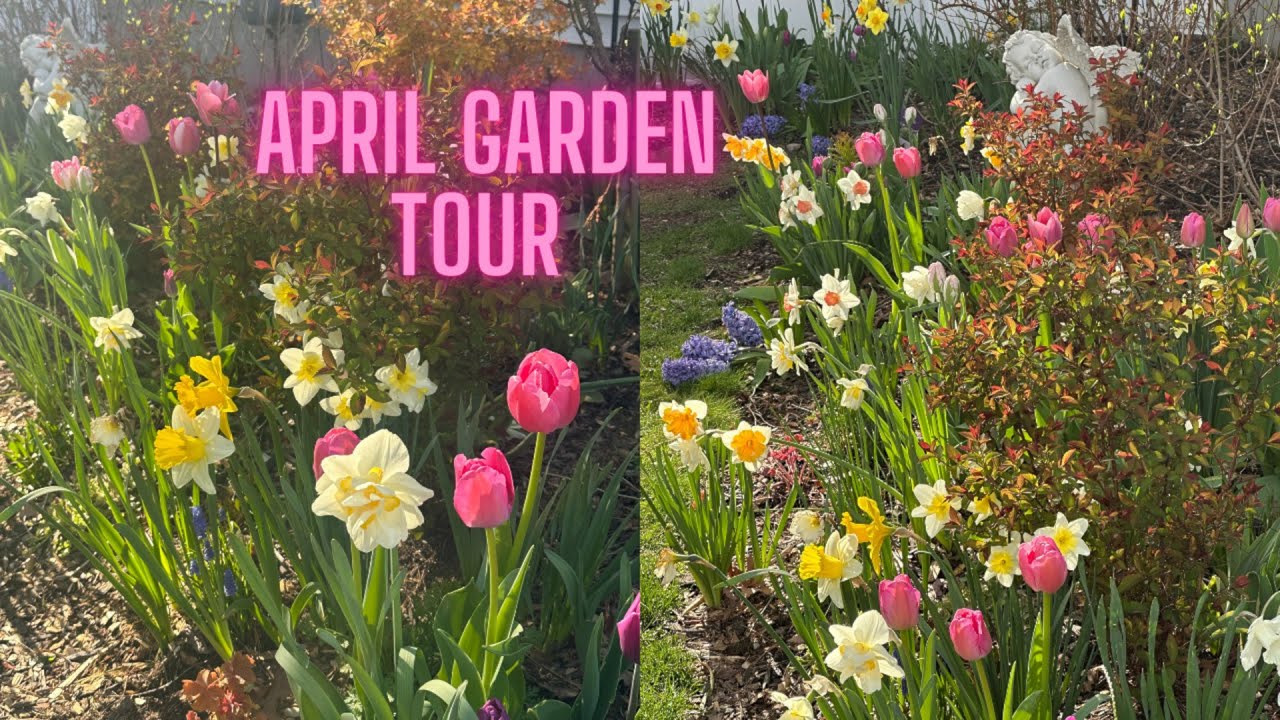 🌸 APRIL GARDEN TOUR 2025 - FLOWERS EVERYWHERE!  ZONE 6B/7A🌹