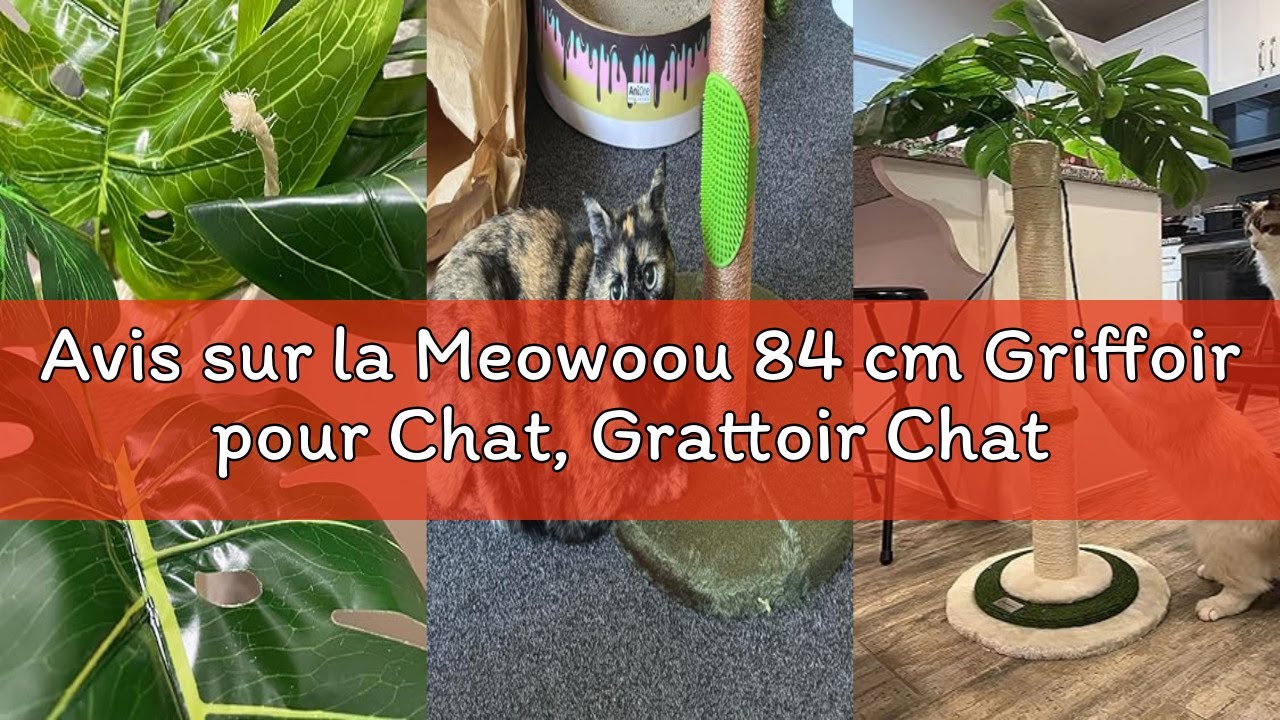Avis sur la Meowoou 84 cm Griffoir pour Chat, Grattoir Chat d'intérieur Adultes et Chatons, Grand Gr
