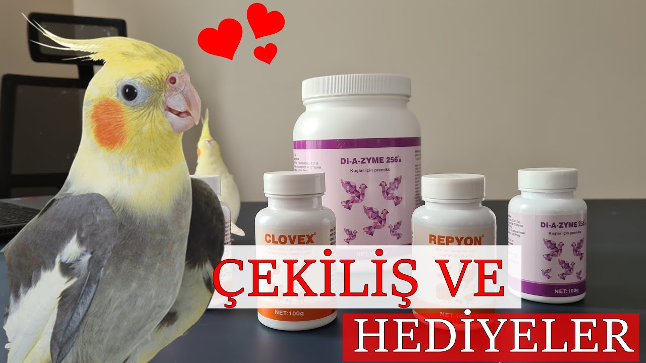 SİZE HEDİYELERİM VAR!!  - 🎁 KUŞLARDA PROBİYOTİK KULLANIMI || DI-A-ZYME 256A
