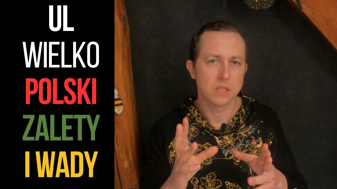 Ul wielkopolski zalety i wady