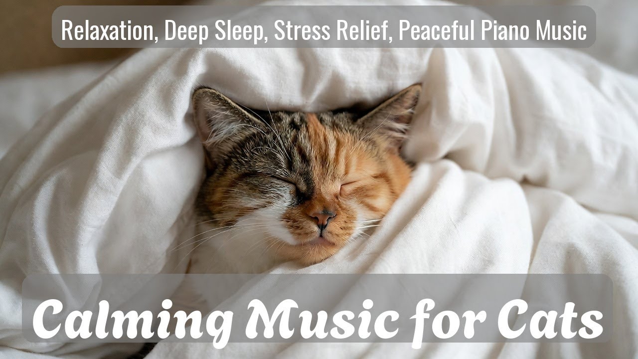 Calming Music for Cats - Relaxation, Deep Sleep, Stress Relief, Peaceful Piano Music | Season 24
