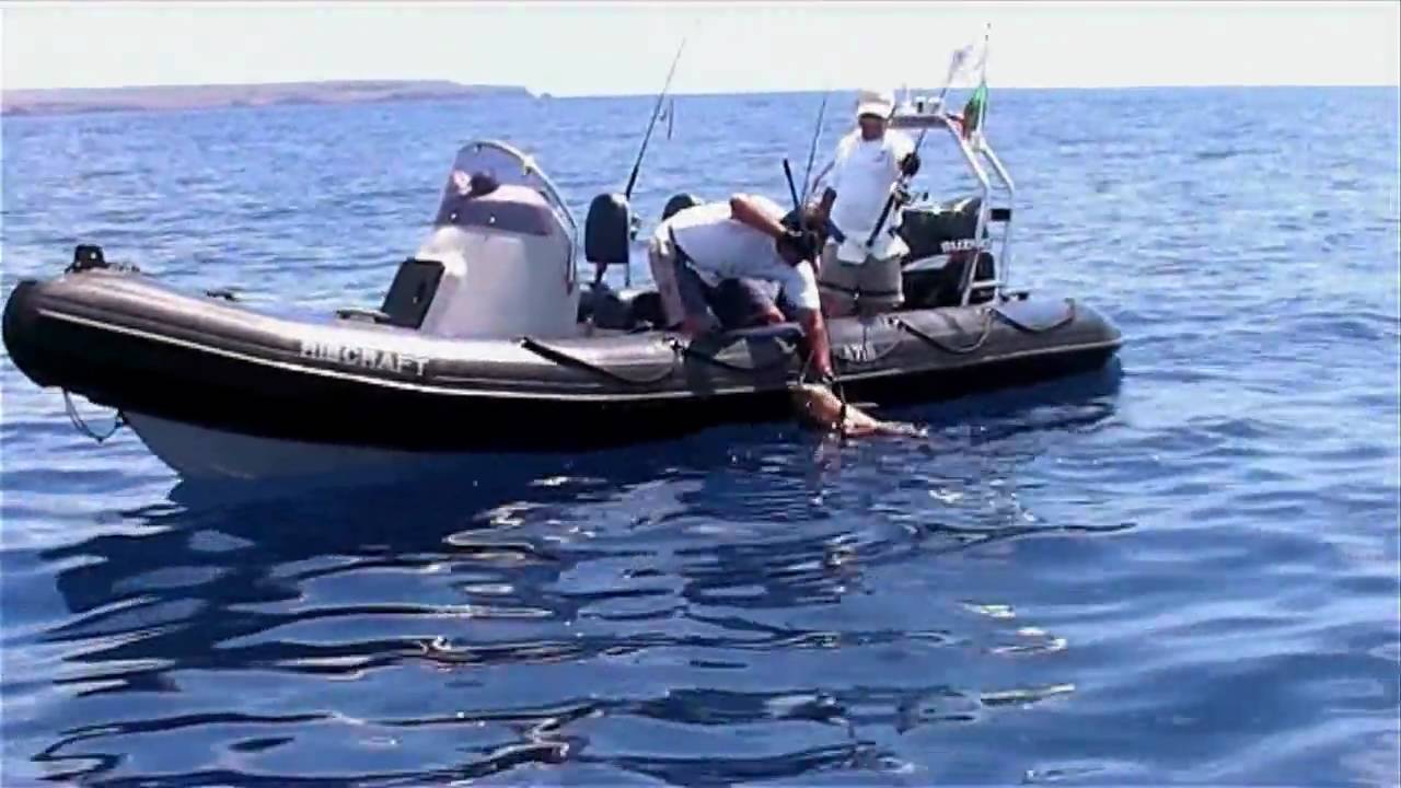A paixão do jigging.wmv